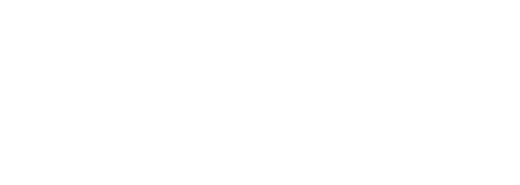 Frog Bikes
